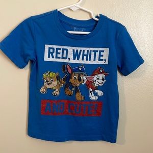 Toddler boys Paw Patrol t shirt
